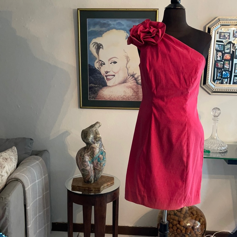 Fuchsia Dress